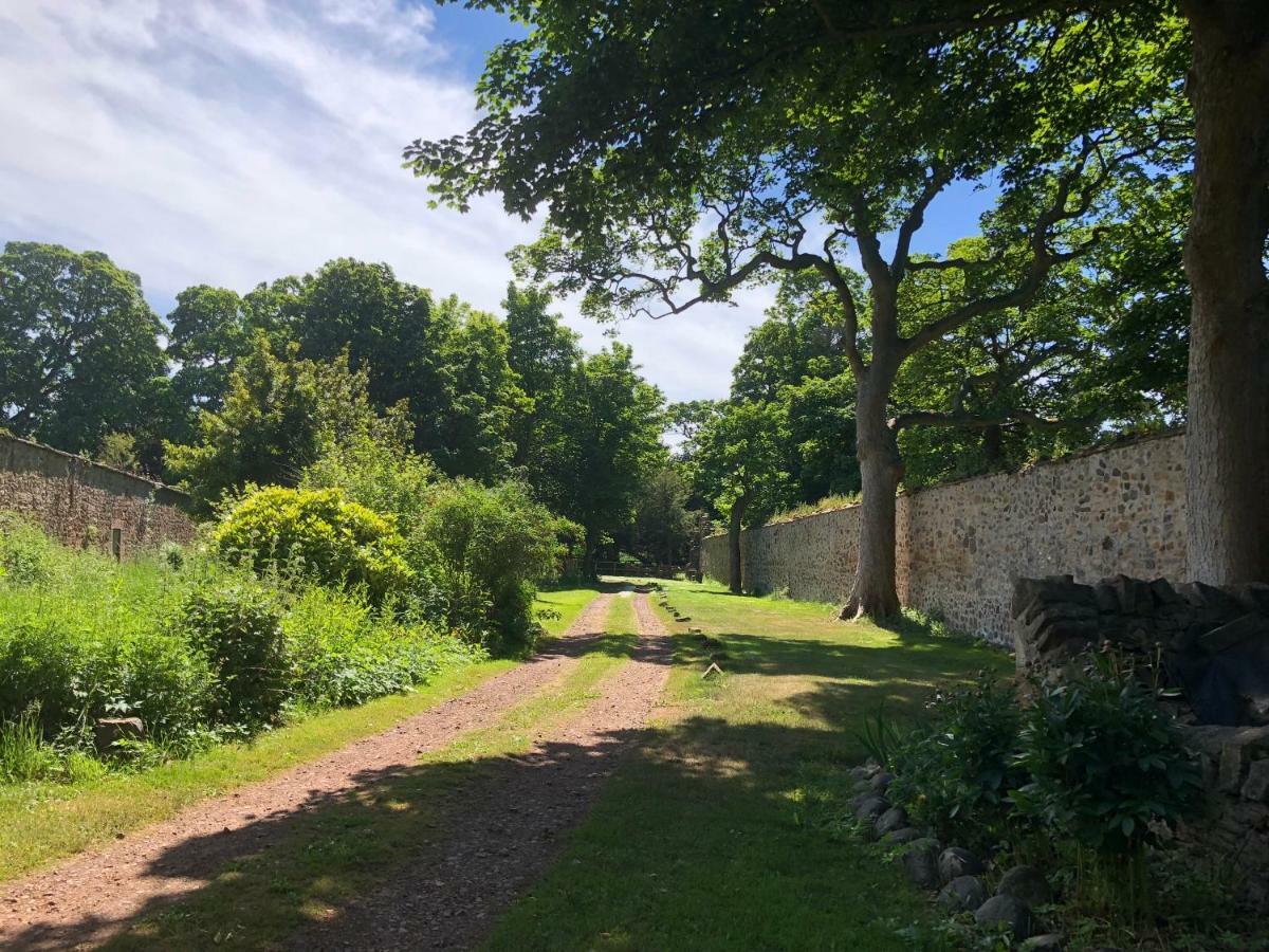 Luffness Castle Cottage 阿伯雷蒂 外观 照片